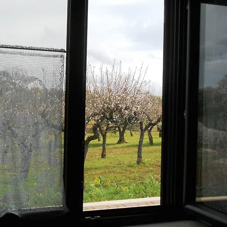Casa vacanze Turisti Per Casa
